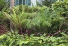 Daleys Pointtropical-landscaping-2.jpg; ?>