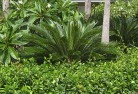 Daleys Pointtropical-landscaping-4.jpg; ?>