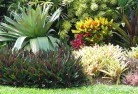 Daleys Pointtropical-landscaping-9.jpg; ?>